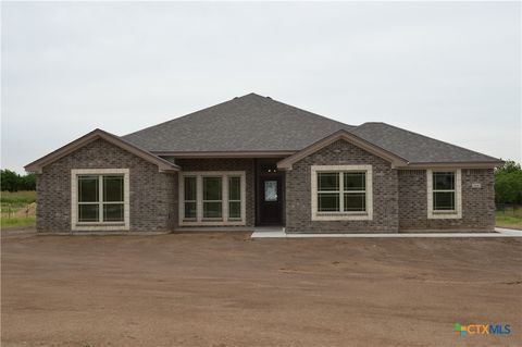 Photo of 1126 County Road 3153, Kempner, TX 76539 (MLS # 614739)