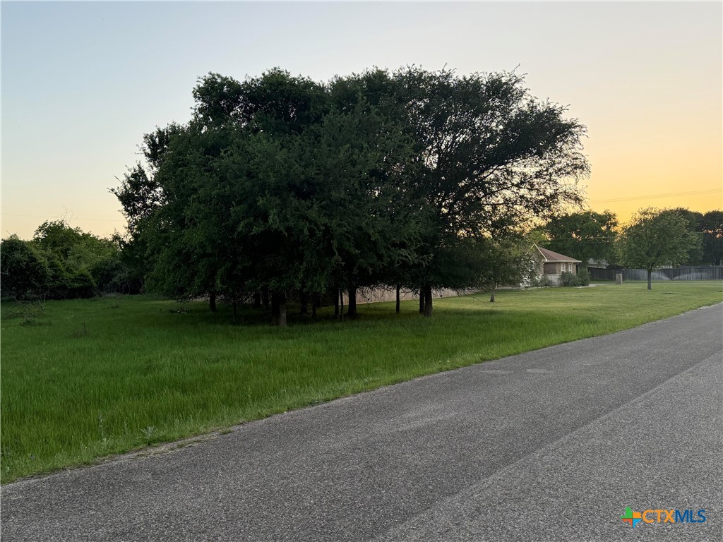6 Blue Roan Drive