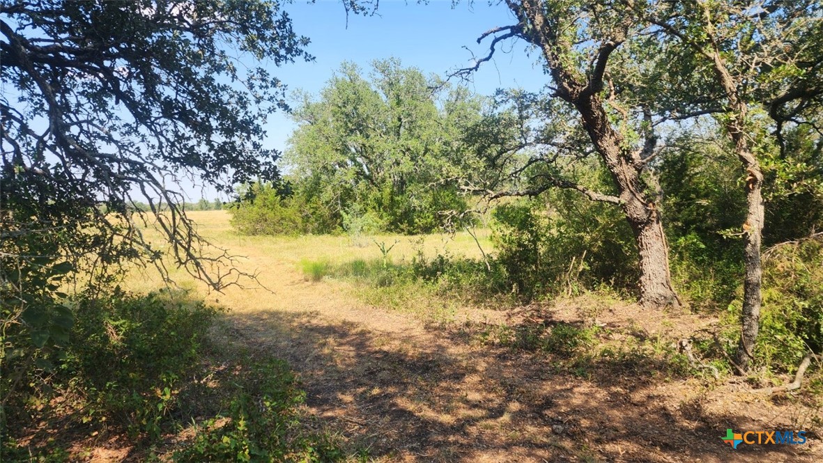 TBD County Road 326
