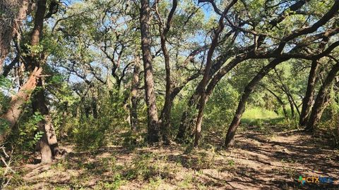 TBD County Road 326 Bertram TX 78605