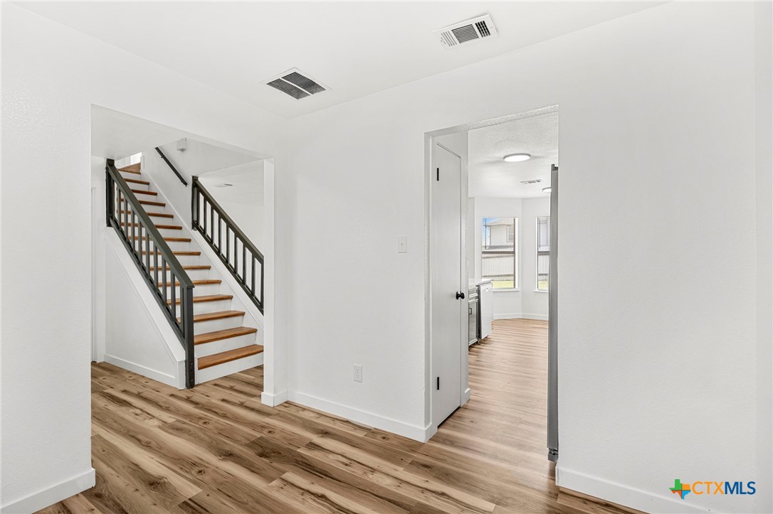 2905 Armadillo Drive