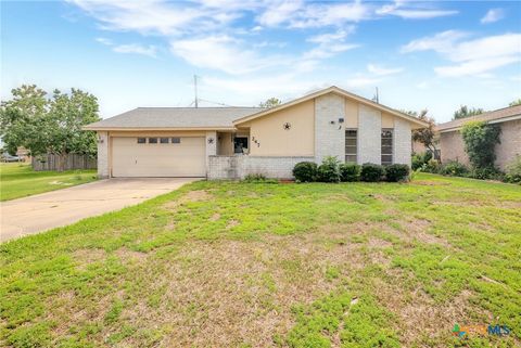 247 Goldenrod Avenue Victoria TX 77904
