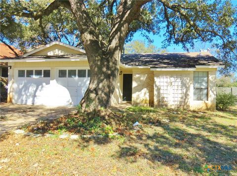Photo of 2002 Castle Creek Drive, San Marcos, TX 78666 (MLS # 581633)