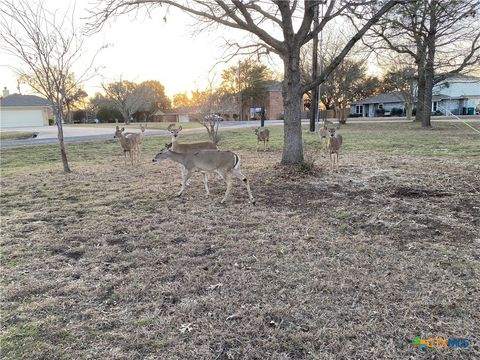 A home in Harker Heights