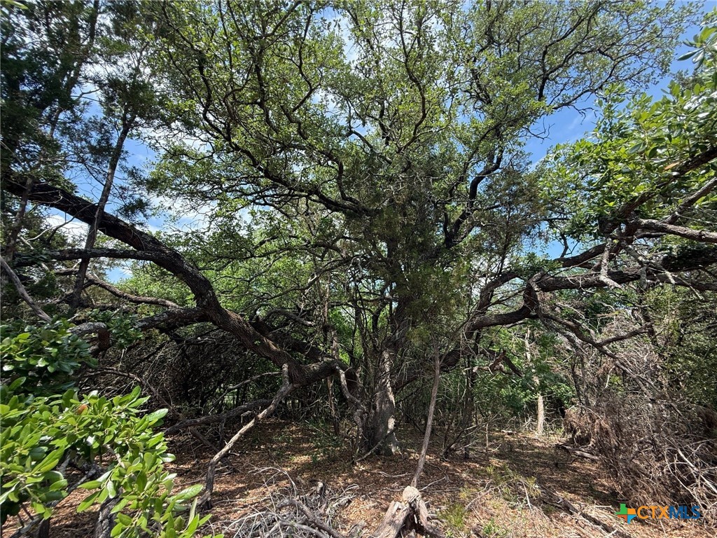 TBD Lot 46 Juniper Ridge