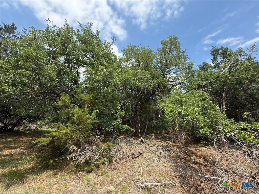 TBD Lot 46 Juniper Ridge