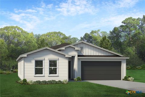 1119 Sky Summit Court Belton TX 76513
