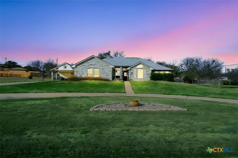 Photo of 138 County Road 4963, Kempner, TX 76539 (MLS # 604683)
