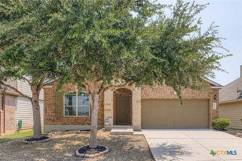 424 Cactus Flower Cibolo TX 78108