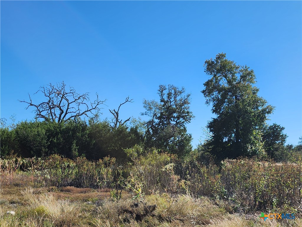 Lot 73 Shin Oak Drive