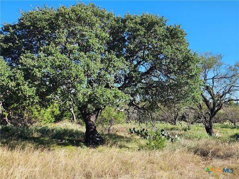 Lot 73 Shin Oak Drive Lampasas TX 76550