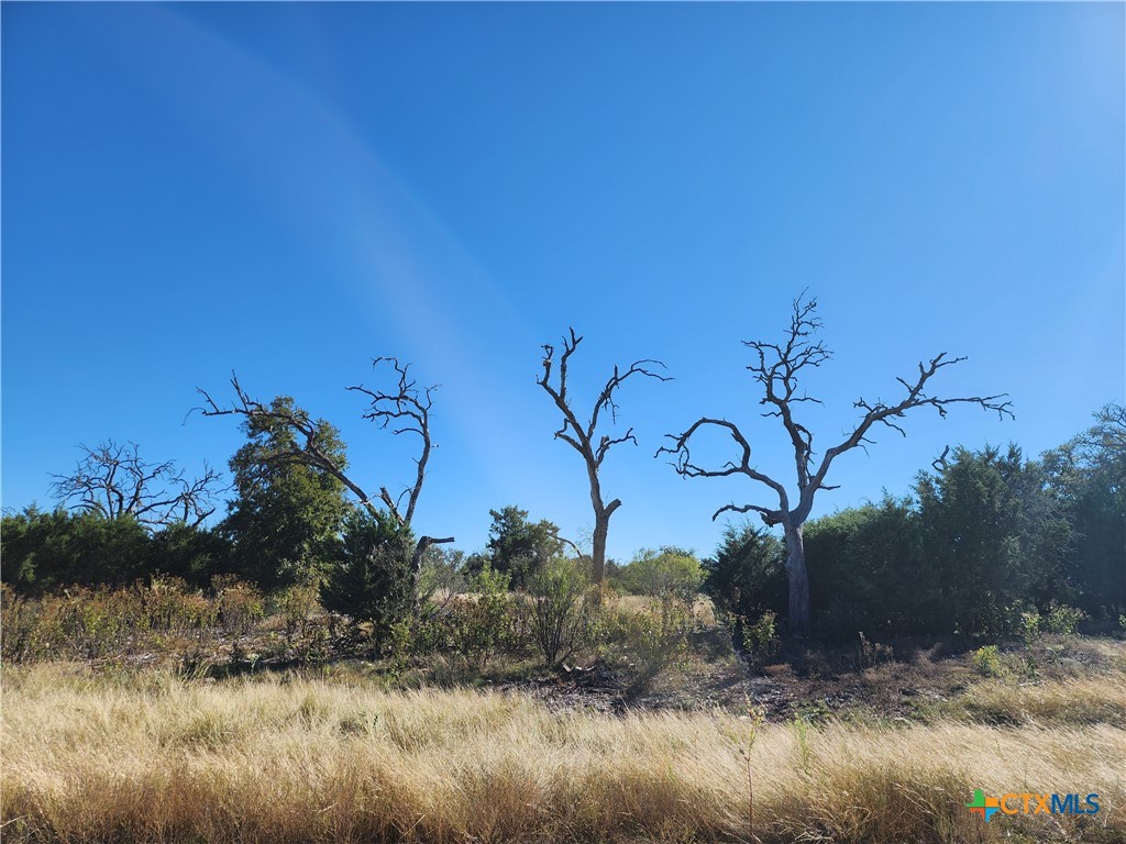 Lot 73 Shin Oak Drive