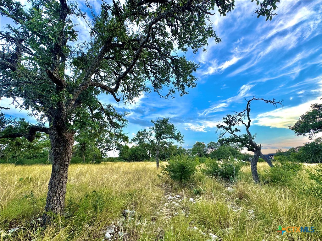TBD Tract 11 Cattleman's Crossing Drive