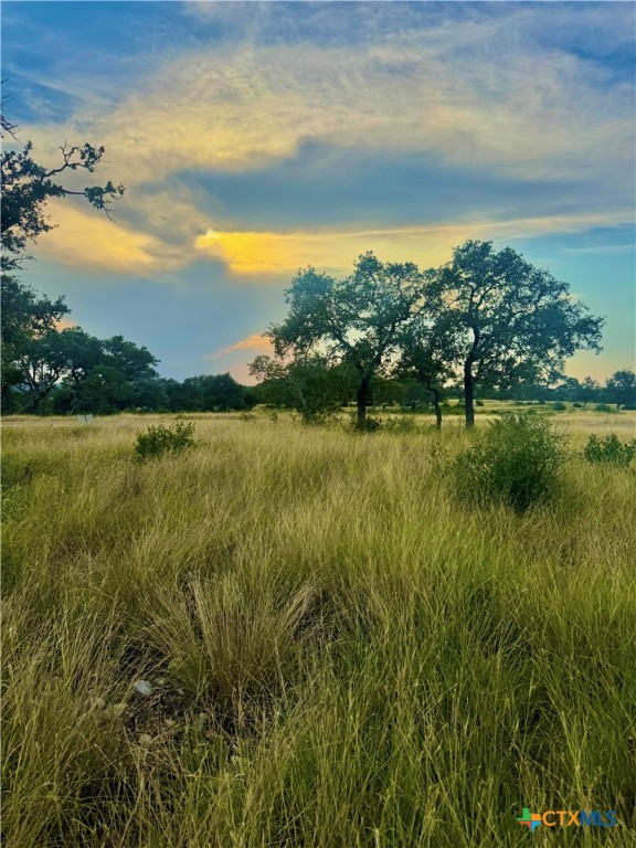 TBD Tract 11 Cattleman's Crossing Drive