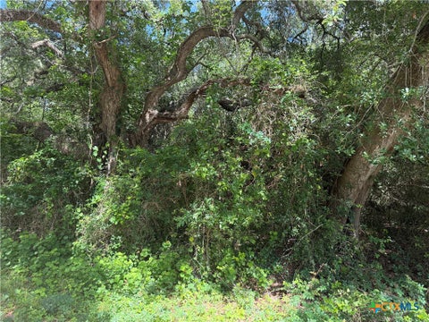 Photo of 529 Grand Oak Street, Palacios, TX 77465 (MLS # 616479)