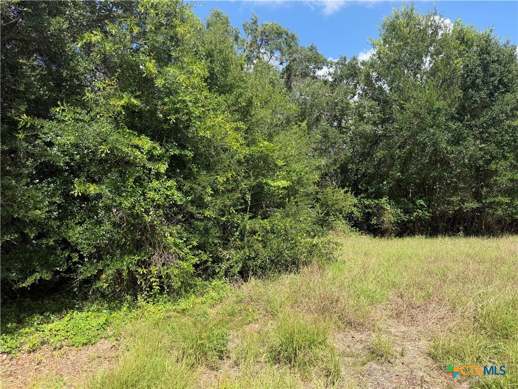 Lot 529 Grand Oak Street