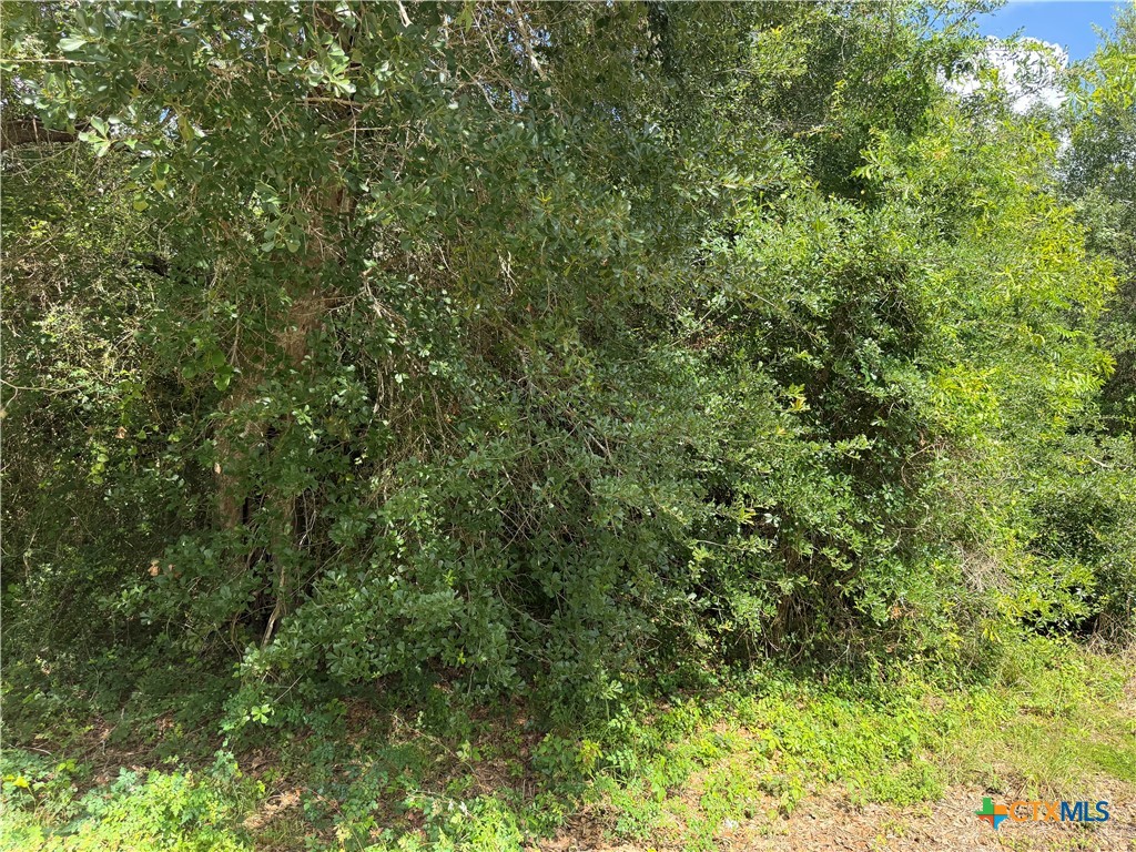 Lot 529 Grand Oak Street