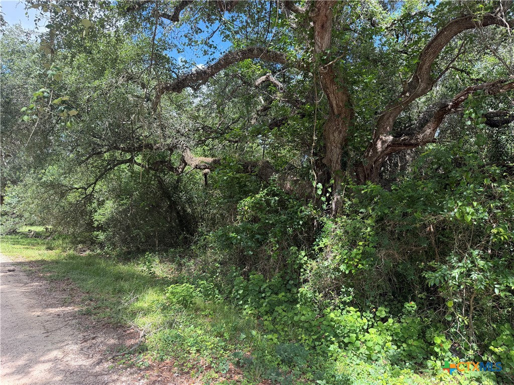 Lot 529 Grand Oak Street