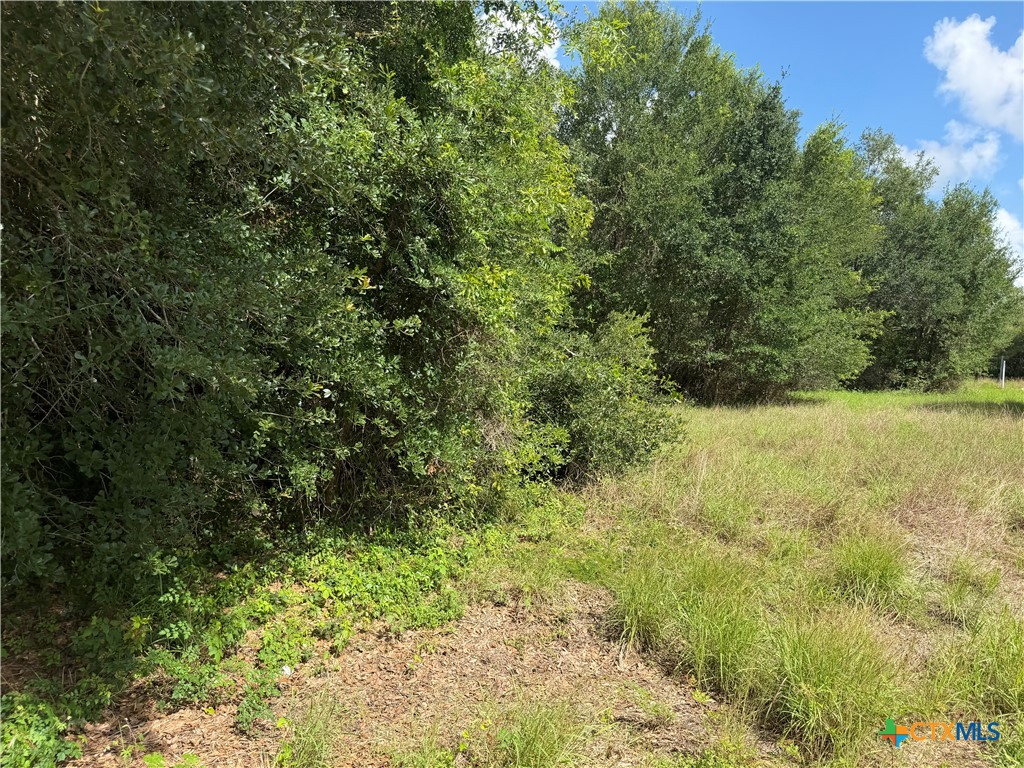 Lot 529 Grand Oak Street