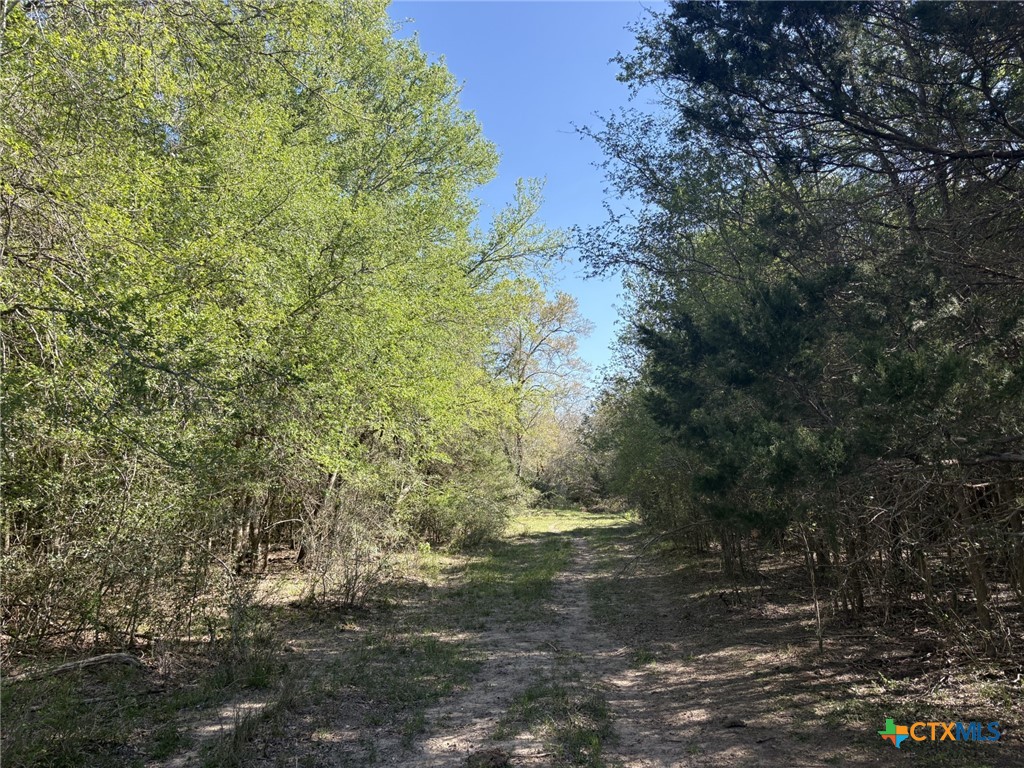 0 Anchor Ranch Loop