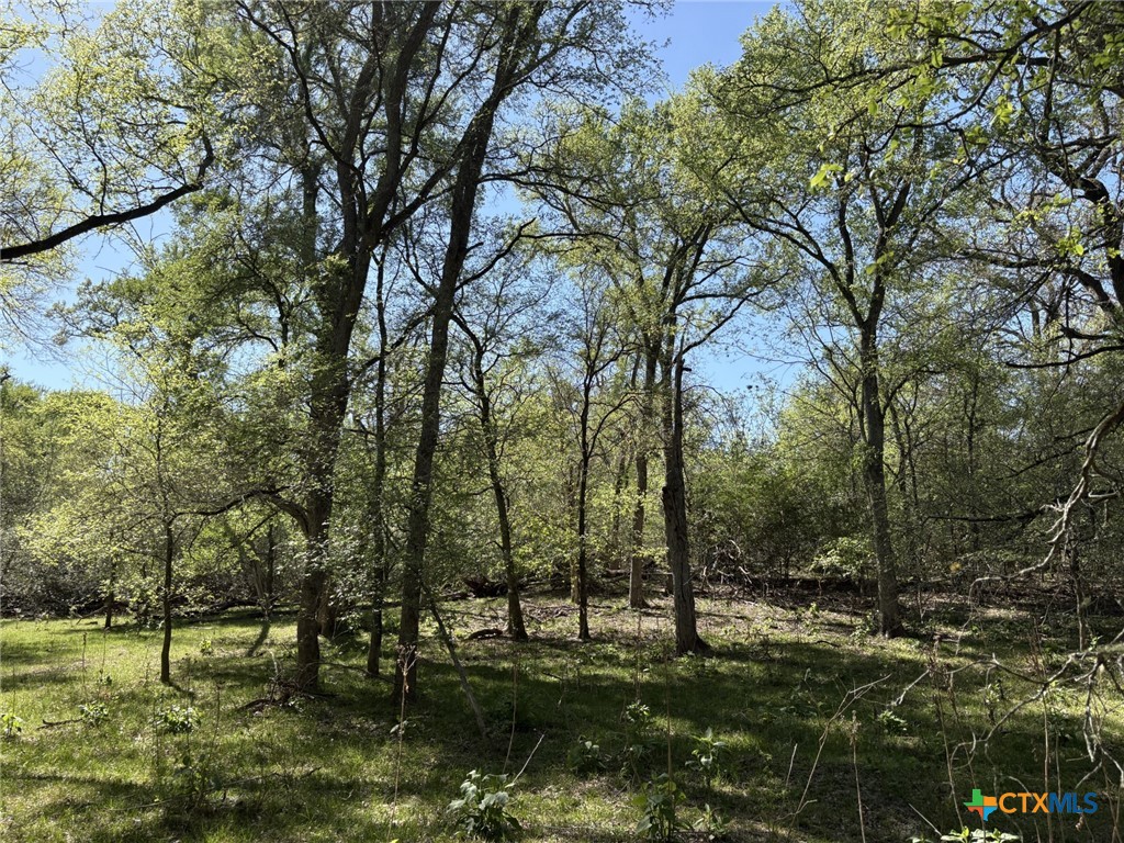 0 Anchor Ranch Loop