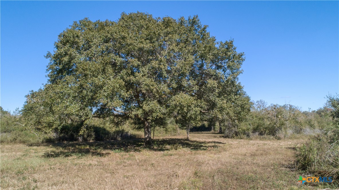 7462 County Road 284