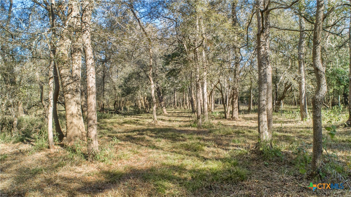 7462 County Road 284