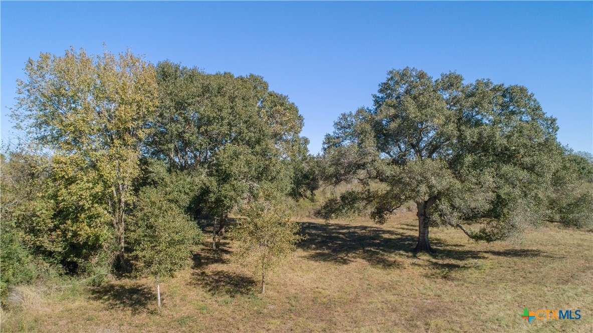 7462 County Road 284