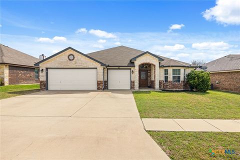 Photo of 704 Hailie Dr, Killeen, TX 76542 (MLS # 606047)