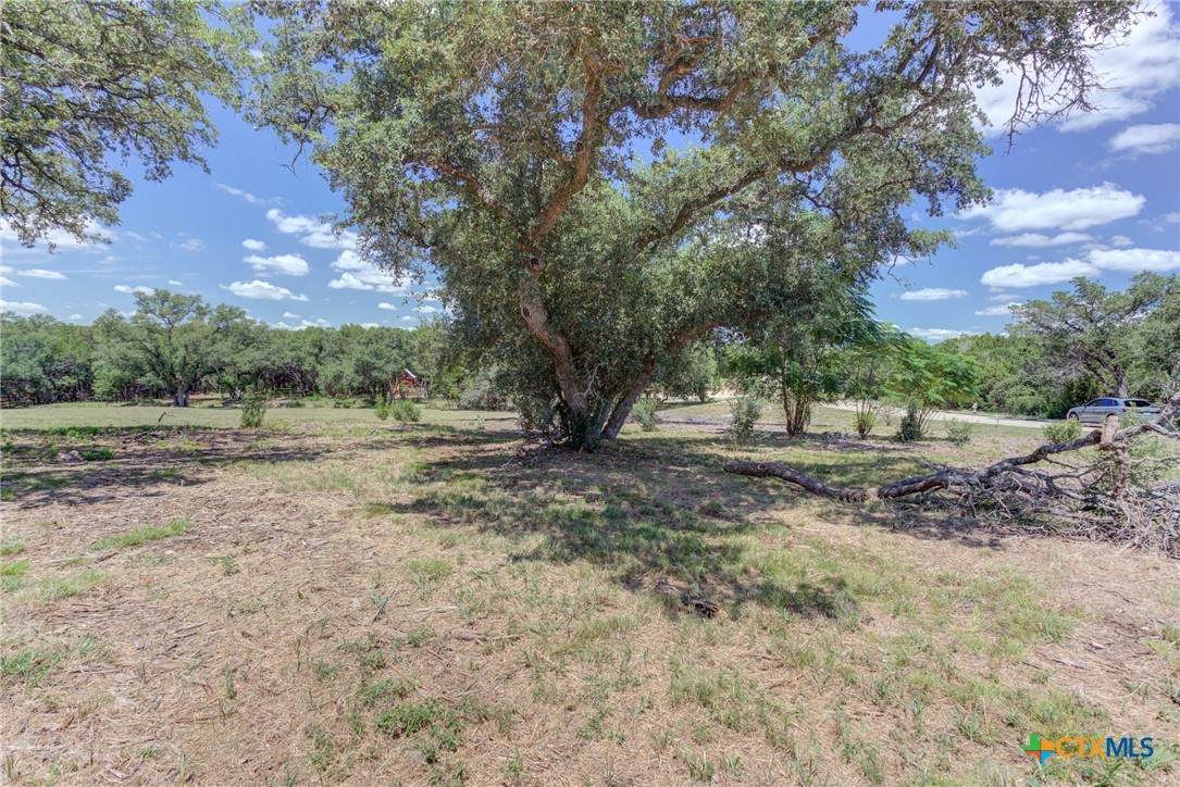 New Braunfels, Texas 78132, United States, ,Land,Active,47987