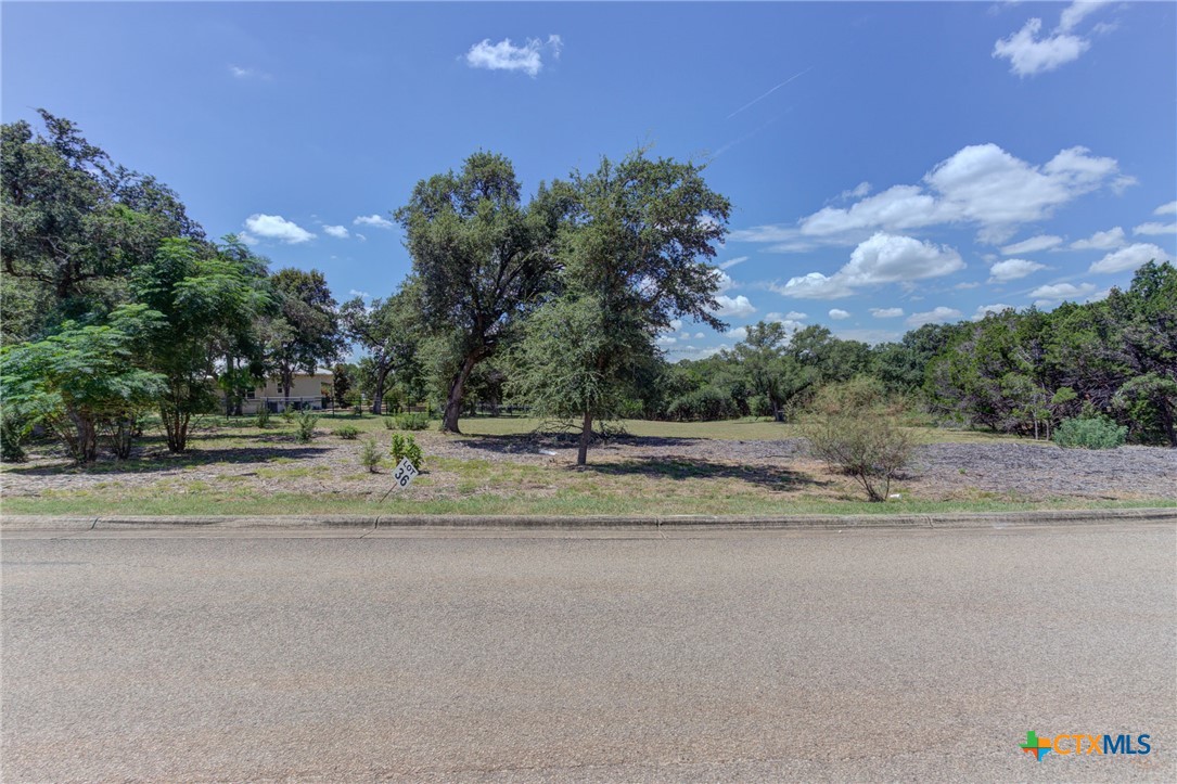 New Braunfels, Texas 78132, United States, ,Land,Active,47987