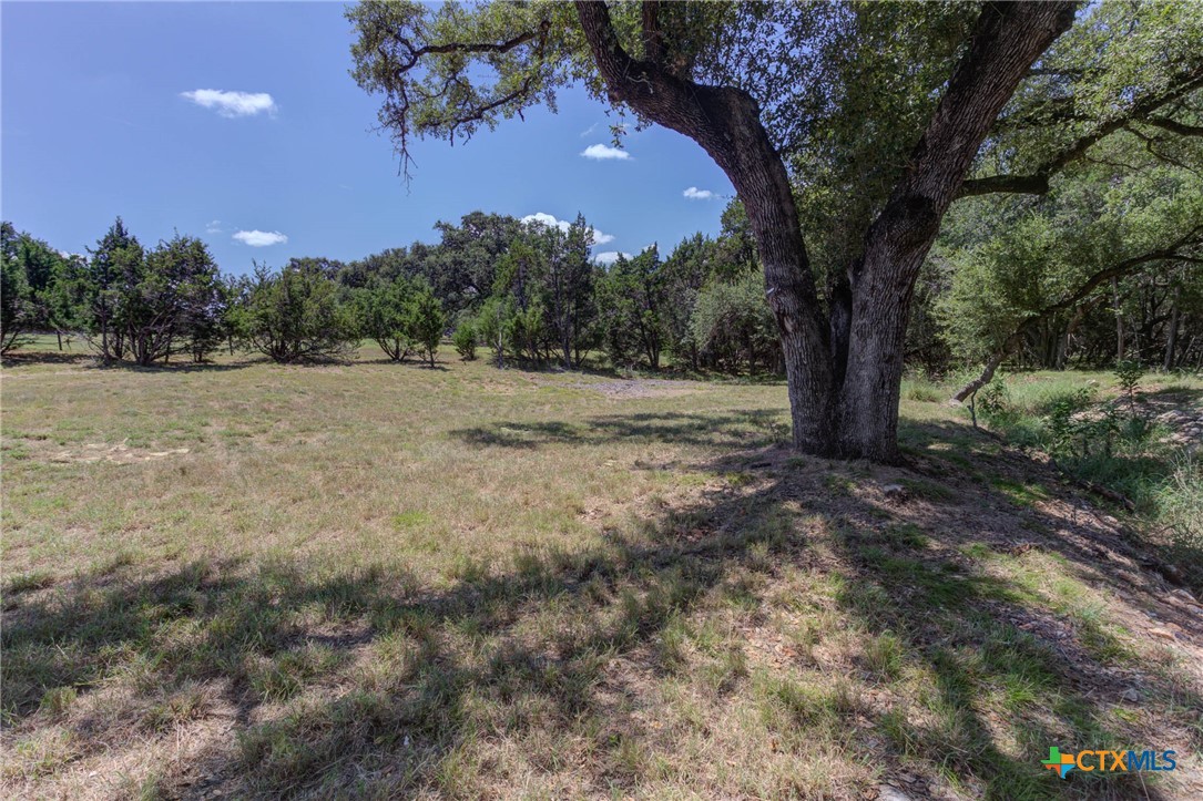 New Braunfels, Texas 78132, United States, ,Land,Active,47987