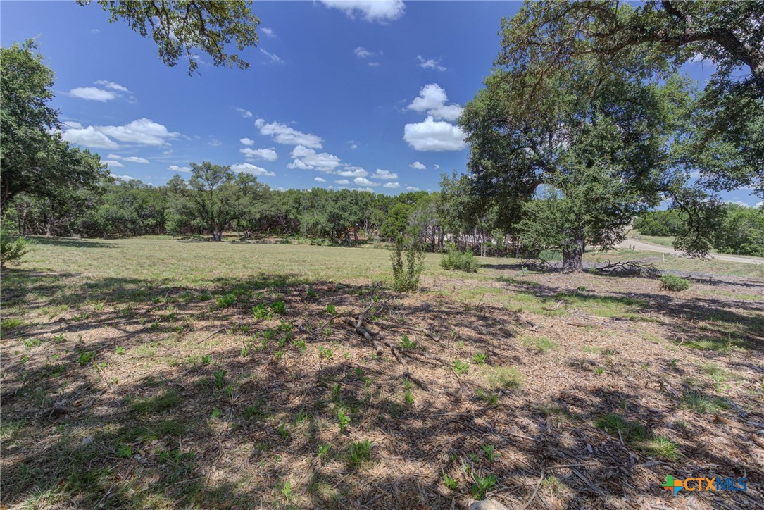 New Braunfels, Texas 78132, United States, ,Land,Active,47987