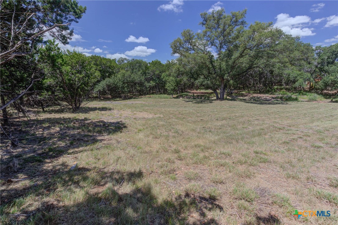New Braunfels, Texas 78132, United States, ,Land,Active,47987