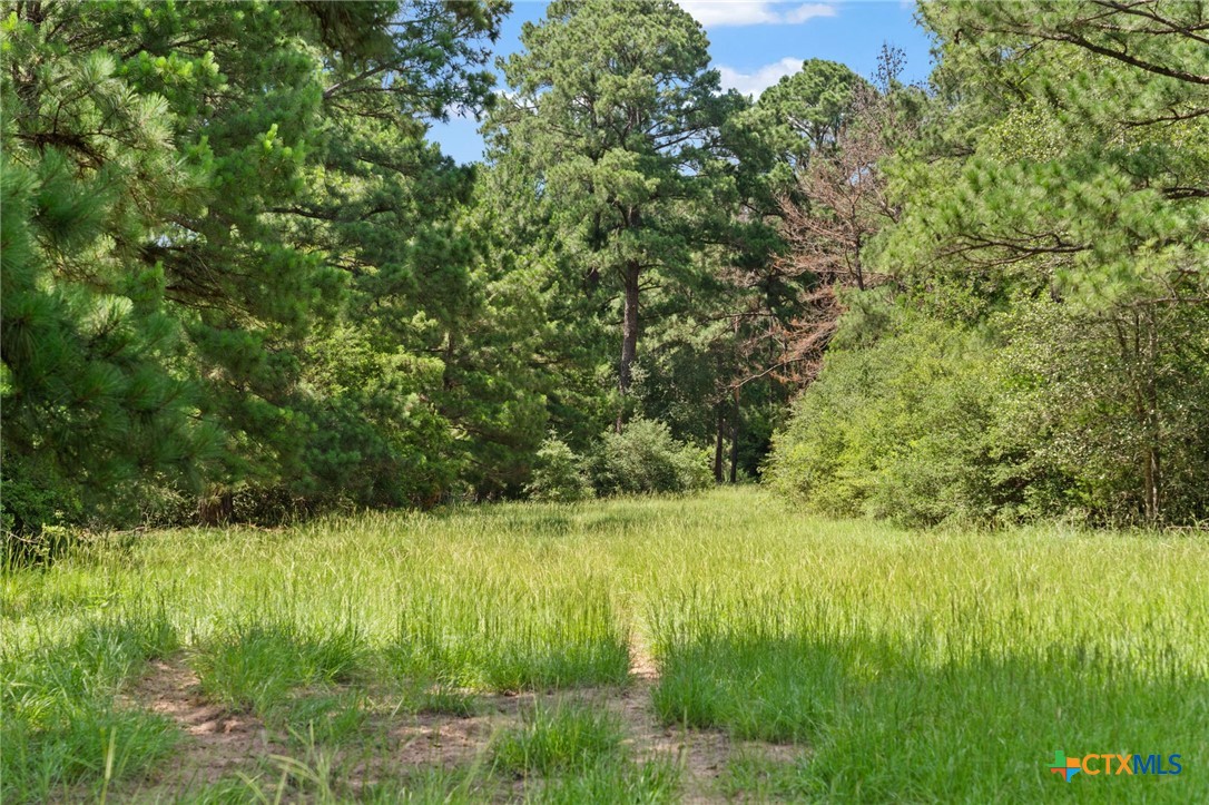 TBD St Delight (Tract 3) Road