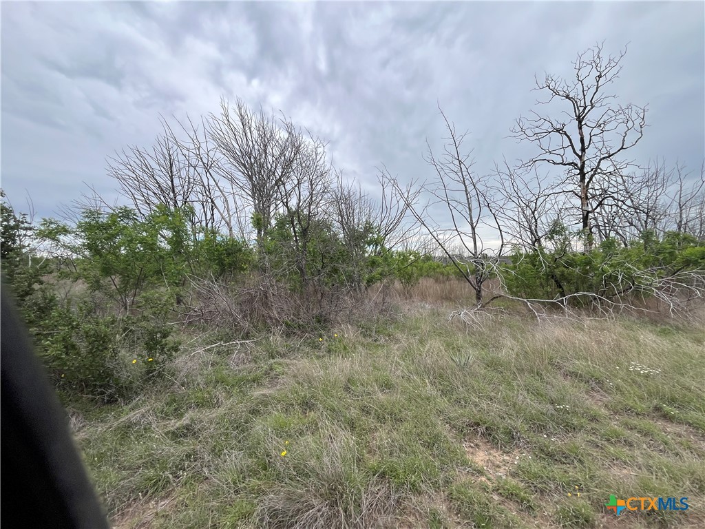20736 N. US Highway 281
