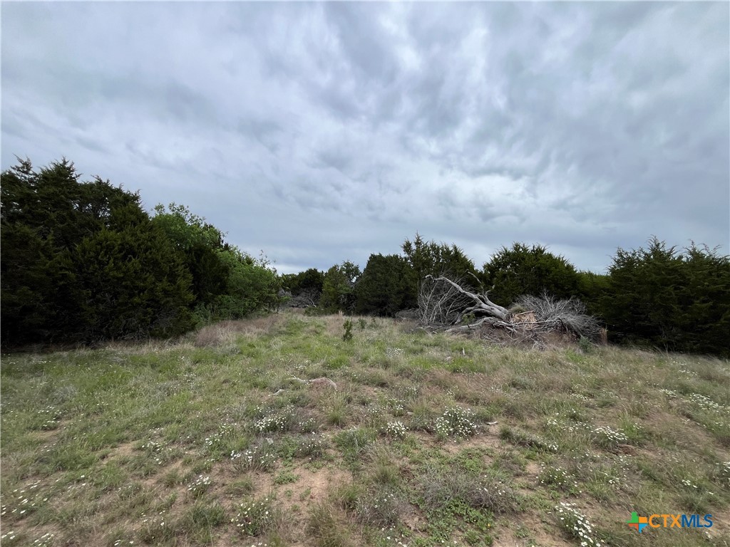 20736 N. US Highway 281