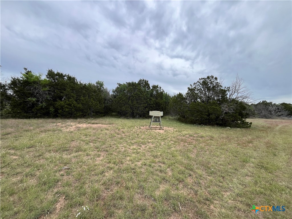 20736 N. US Highway 281