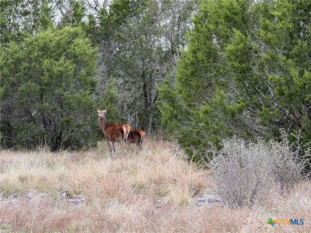 TBD Private Road 4719 Road 4719