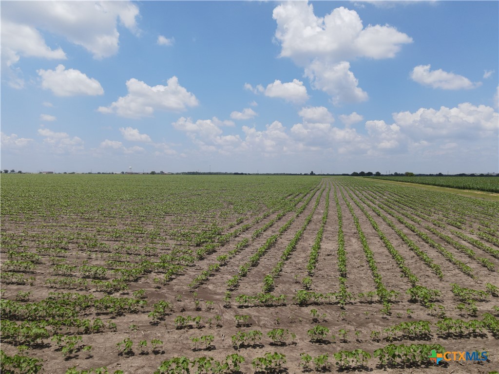 TBD Willmann Road