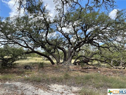 34810 Last Stage Way Bulverde TX 78163