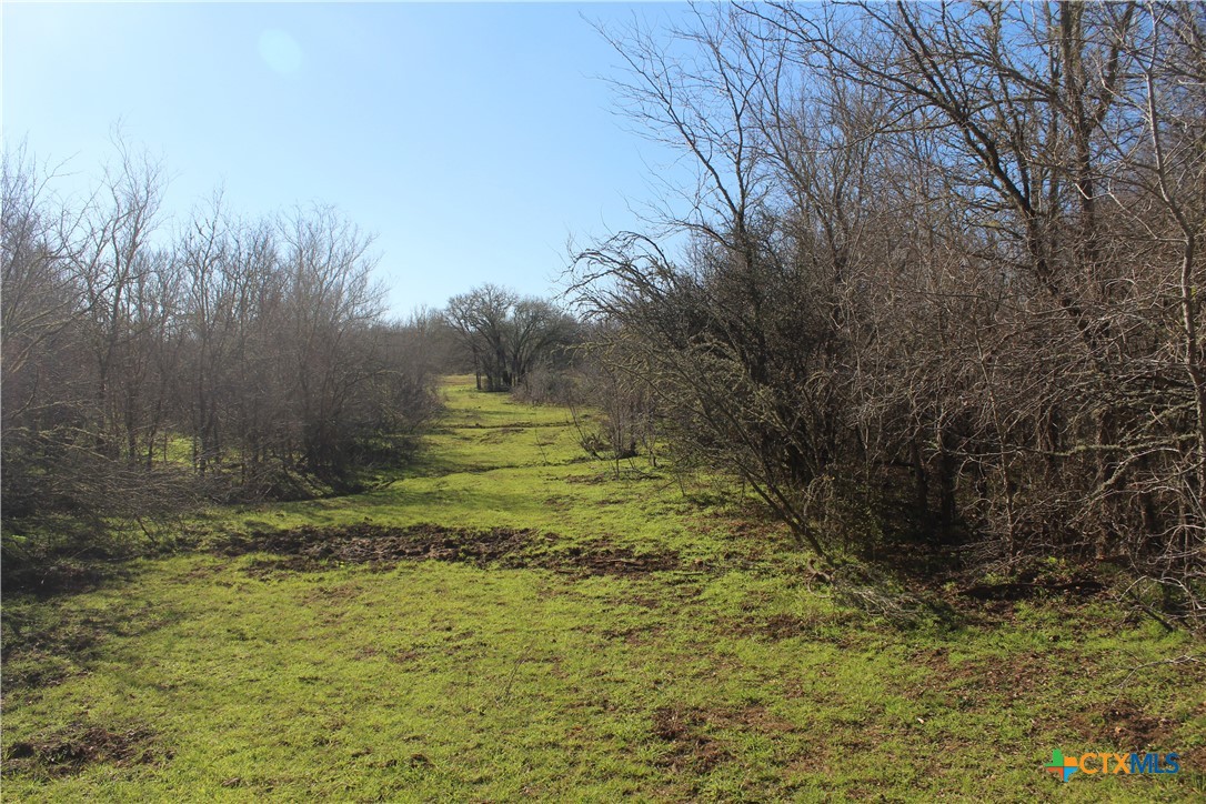 1223 County Road 429
