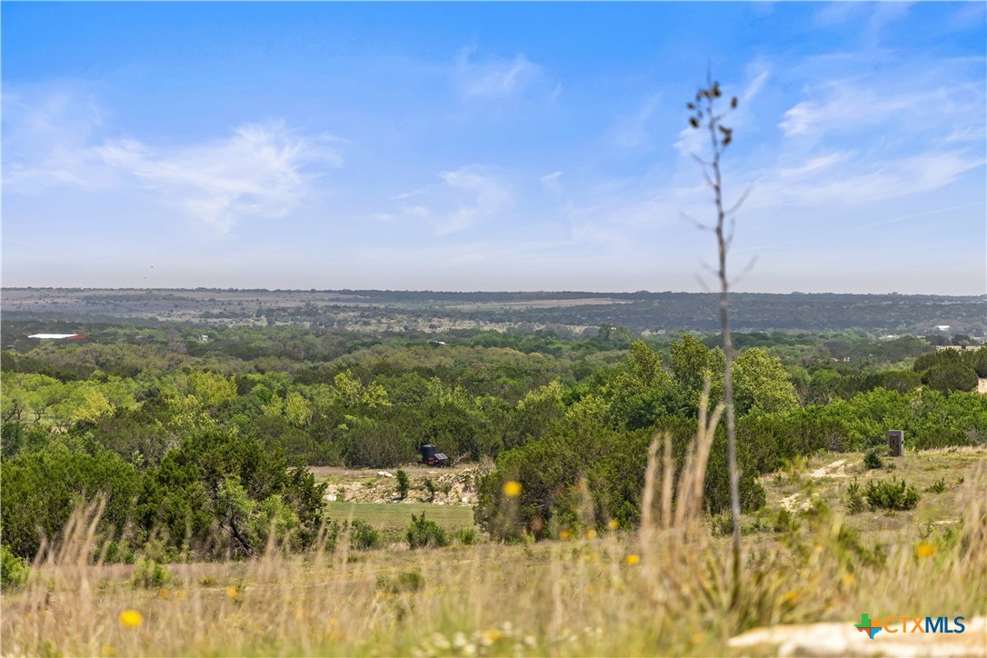 TBD County Road 207