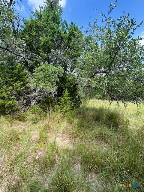 Photo 1 of 9 — TBD Lot 3 Royal Eagle Dr., Fischer, TX 78623
