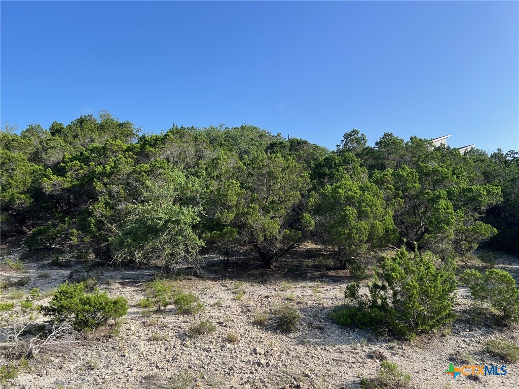 Canyon Lake, Texas 78133, United States, ,Land,Active,53056