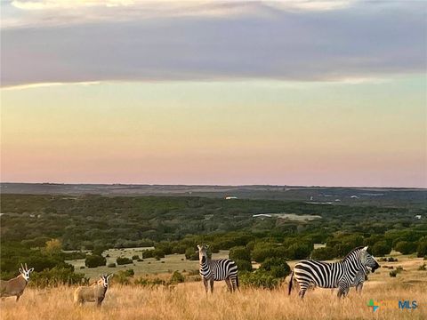 Tract 2 County Road 208 Lampasas TX 76550