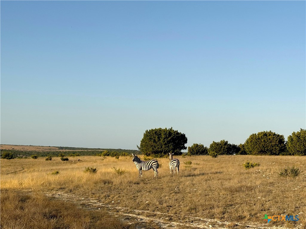 Tract 2 County Road 208