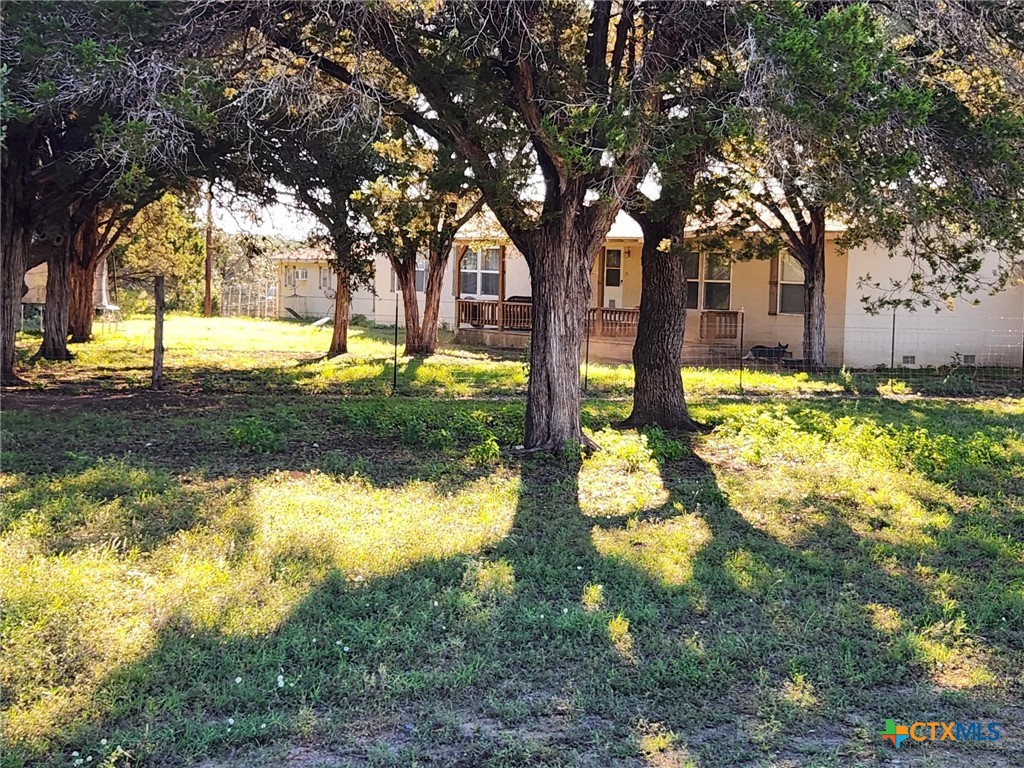 1646 County Road 335