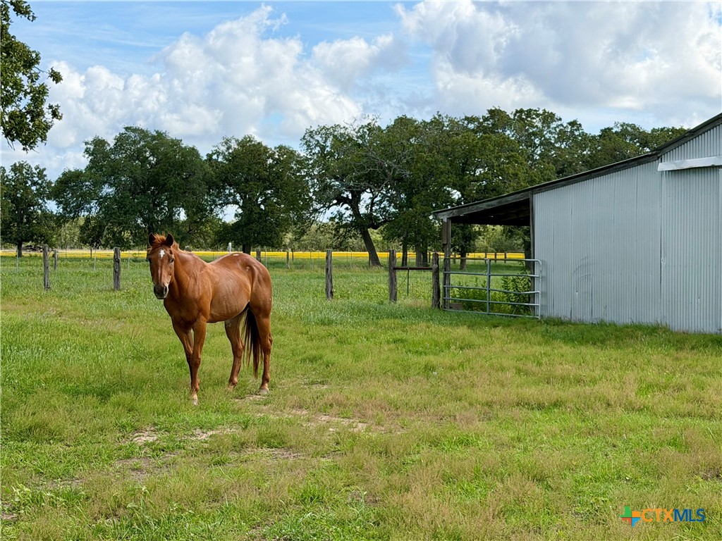 15631 Fm 682 - TRACT B