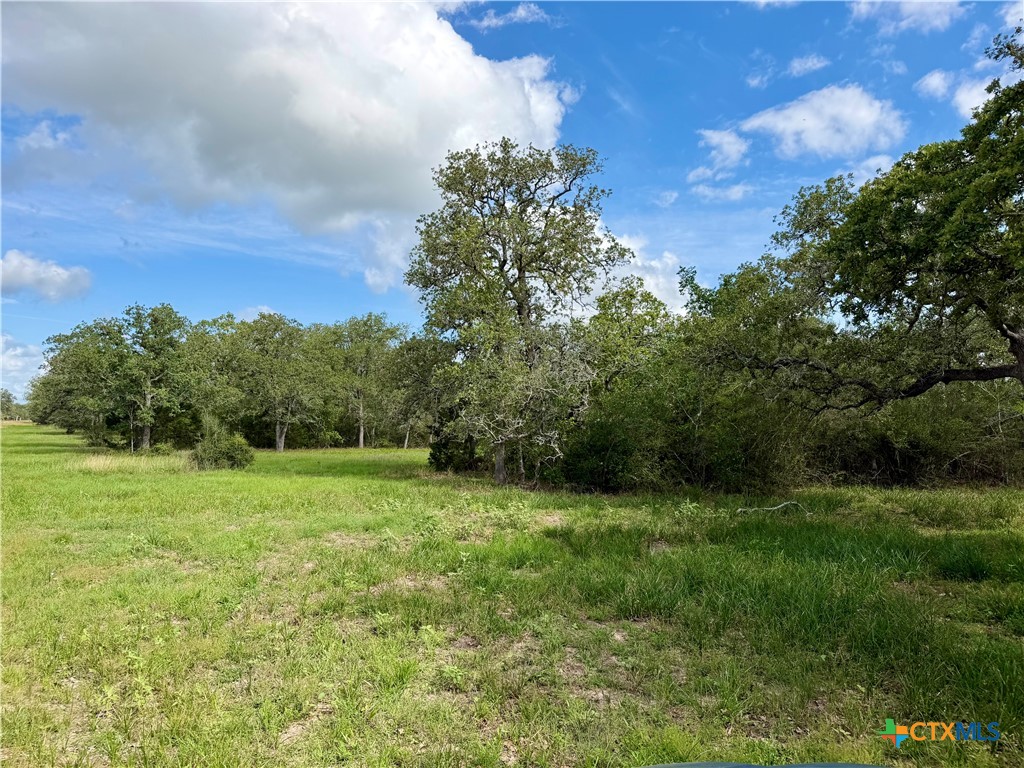 15631 Fm 682 - TRACT B